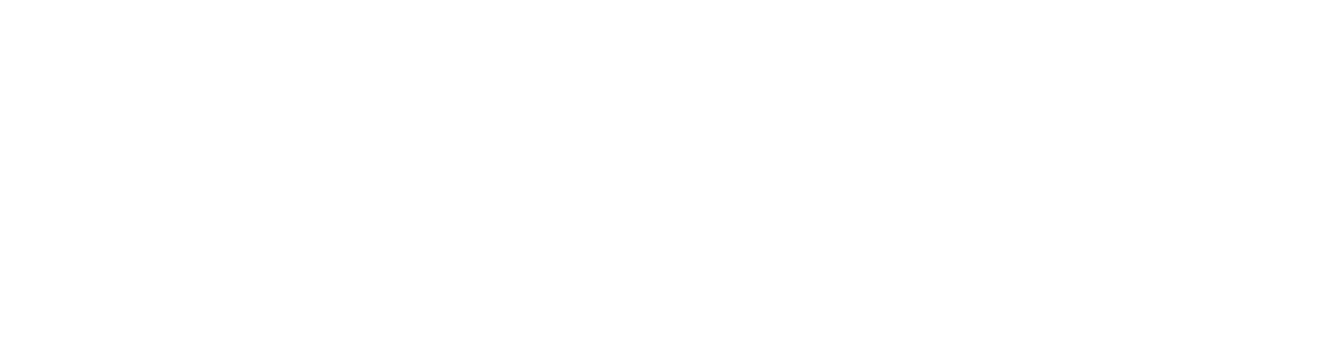 Adobe Logo
