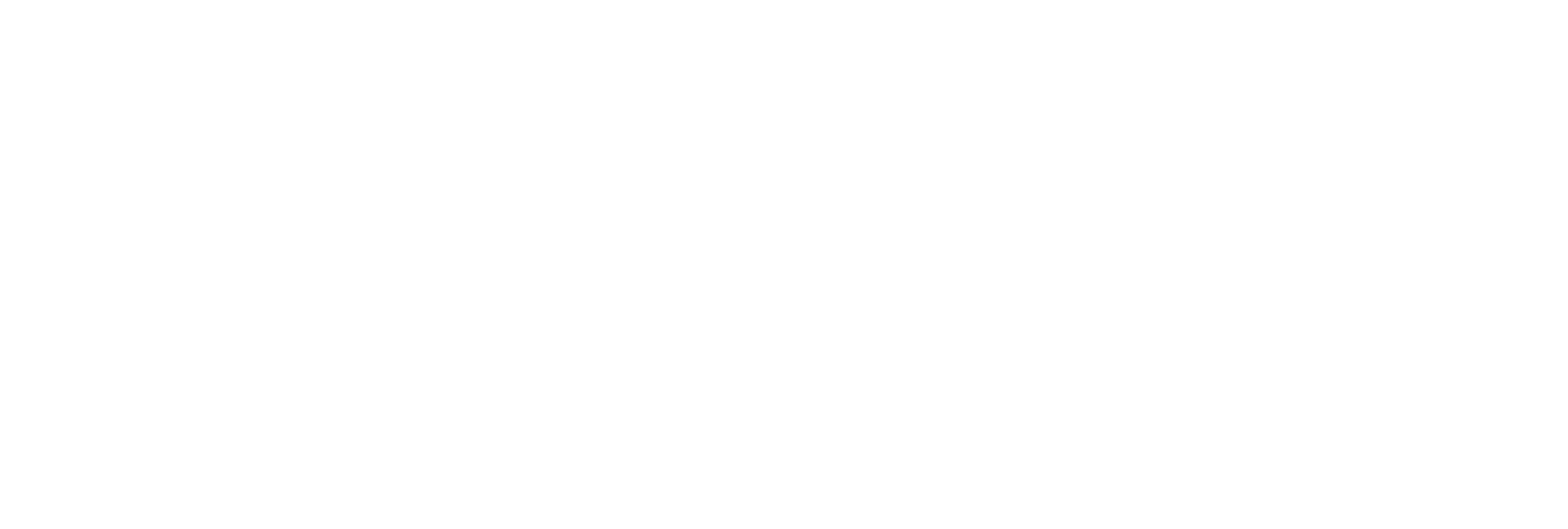 Experian Global Logo