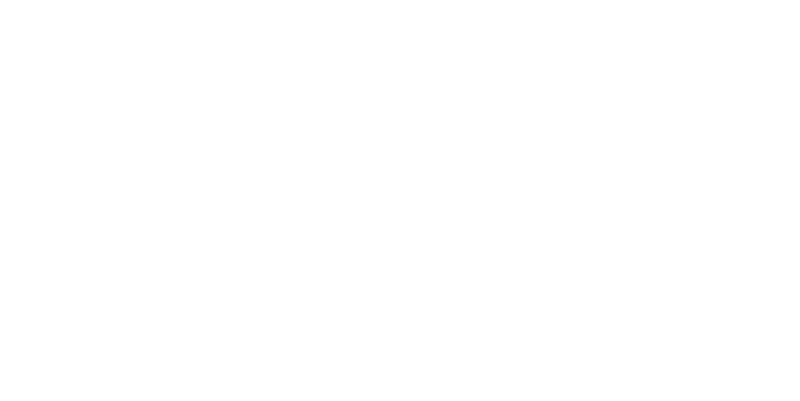 McCain Logo