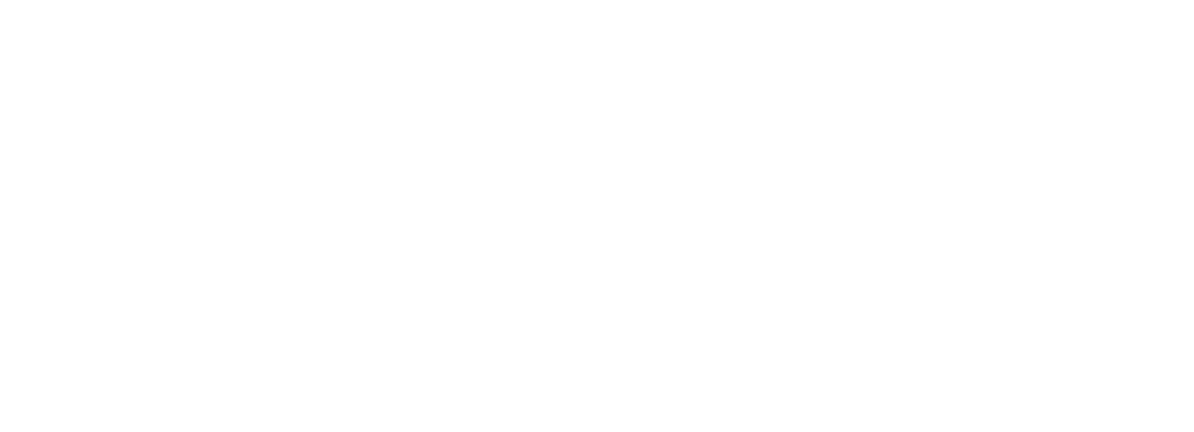 TNT Logo