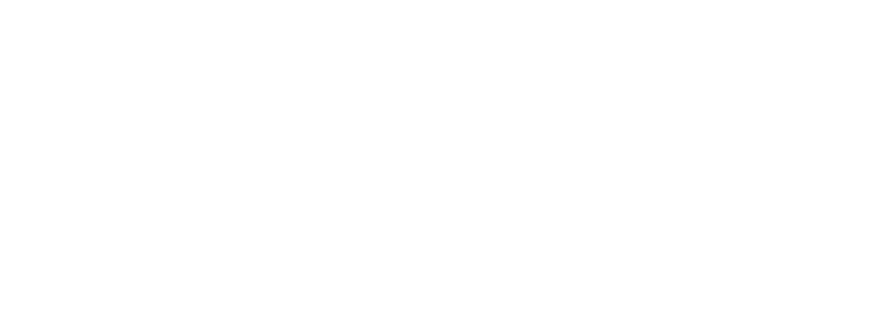 AIS Logo