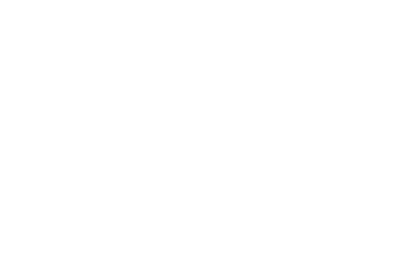 The United Nations